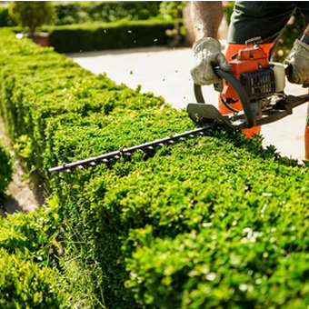 Gartenpflege